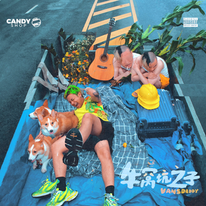 国内自拍真实伦在线观看视频
