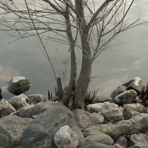 国内自拍真实伦在线观看视频
