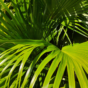 国内自拍真实伦在线观看视频
